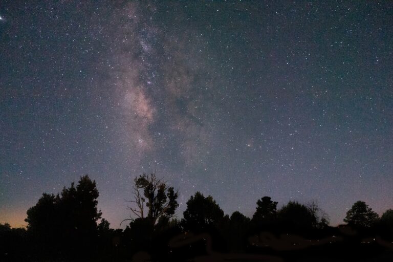 Dark forest theory space stars - advanced ESL lesson on game theory and cosmic sociology