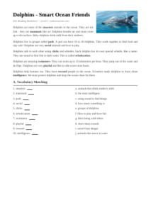 Dolphins Worksheet | Elementary ESL Reading