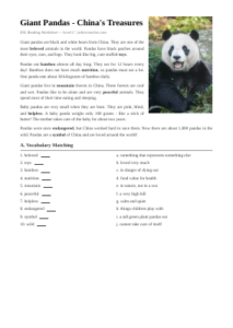 Giant Pandas Elementary