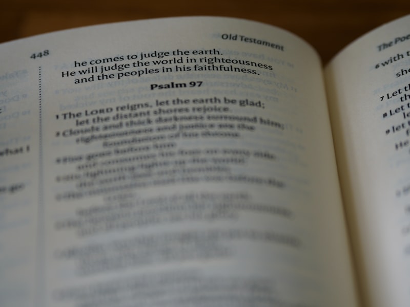 Grammar textbook open with highlighted examples and handwritten notes in margins