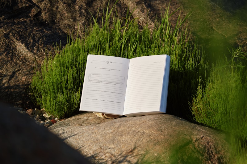 Journal open on outdoor rock for English vocabulary memory palace technique