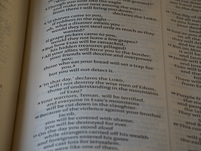 Open book showing English text for vocabulary learning