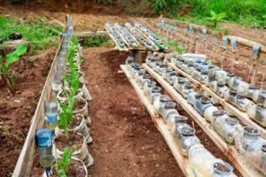 Organic Farming Worksheet | Elementary ESL Reading