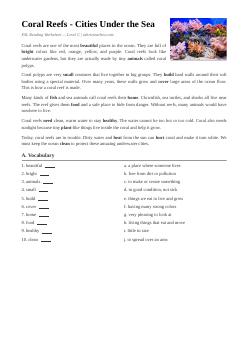 Rạn san hô (Cấp độ C)