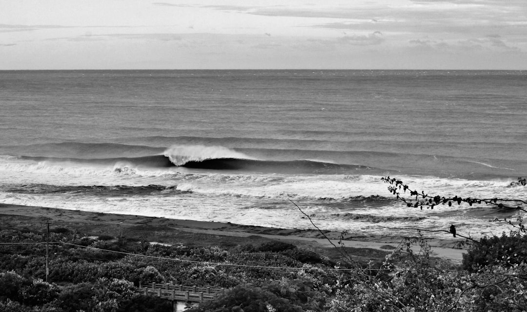 Typhoons - ESL worksheet reading activity