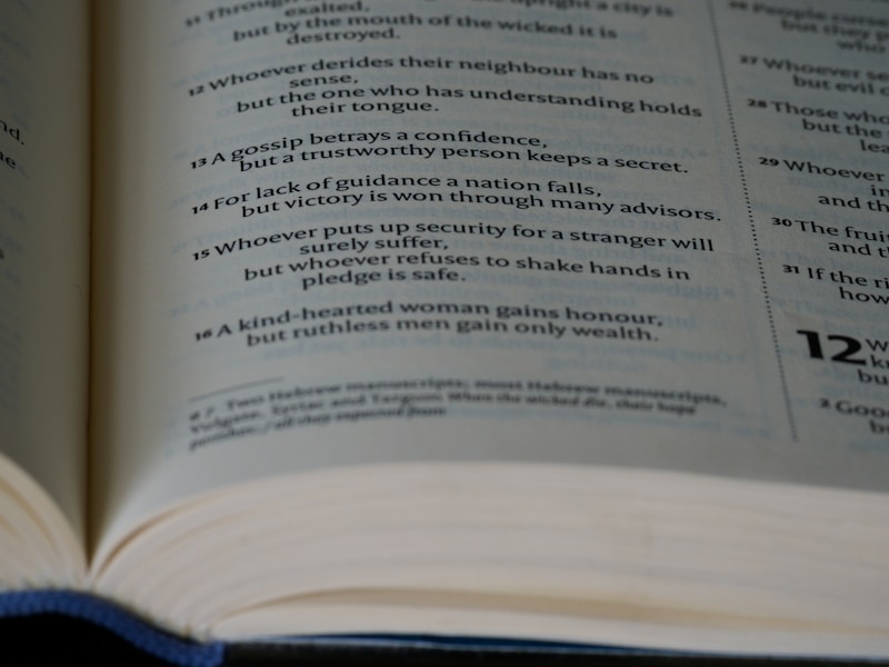 英文文法檢查工具比較