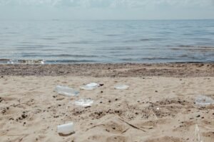 Ocean Plastic Pollution (Level F)