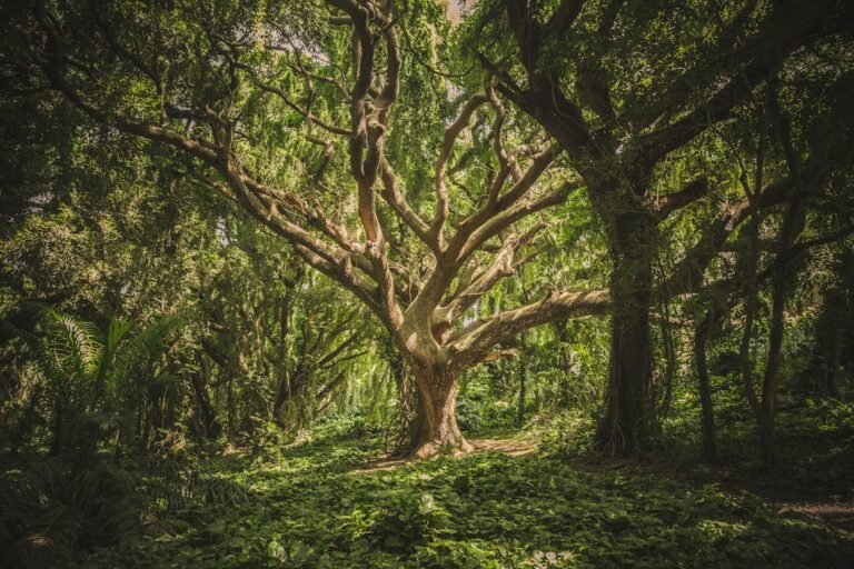 Family Tree of Life (Advanced)