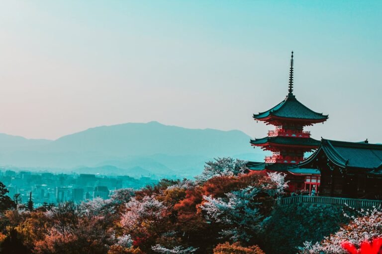 Traditional Japanese Gardens Philosophy Advanced ESL Reading