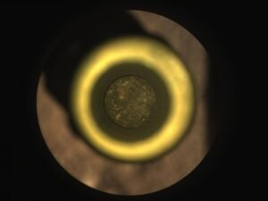 Mysterious Martian Rocks — Organic Molecules on Mars