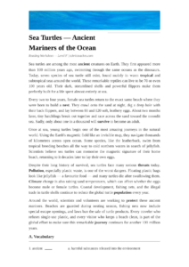 Sea Turtles ESL Worksheet — Advanced Level F Reading PDF