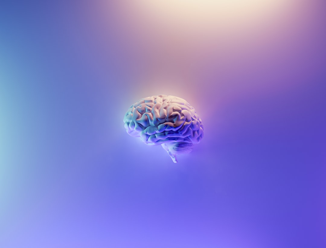 memory brain learning concept - spaced-repetition-english-vocabulary-anki