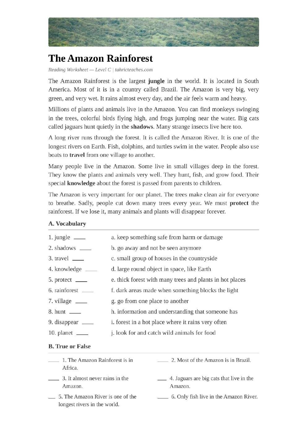 The Amazon Rainforest (Elementary)