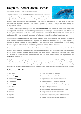 Dolphins Worksheet (Intermediate)