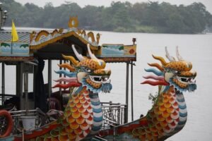 Dragon Boat Racing | Advanced ESL Reading Worksheet PDF