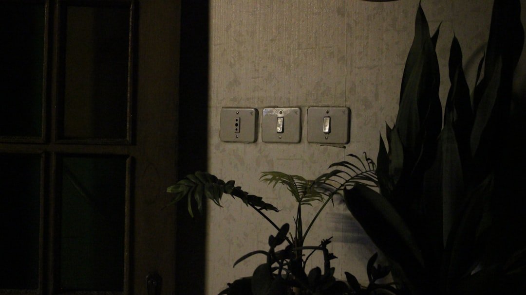 a light switch on a wall next to a potted plant