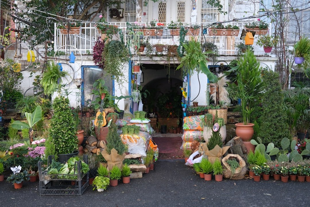 Home Gardens and Plants (Elementary)