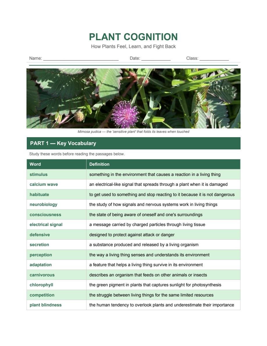 Plant Cognition Advanced ESL Worksheet