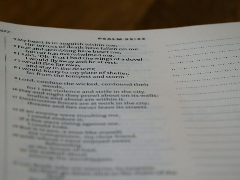 Rehearsing presentation English phrases from a notebook