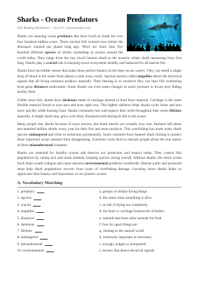 Sharks Worksheet (Intermediate)