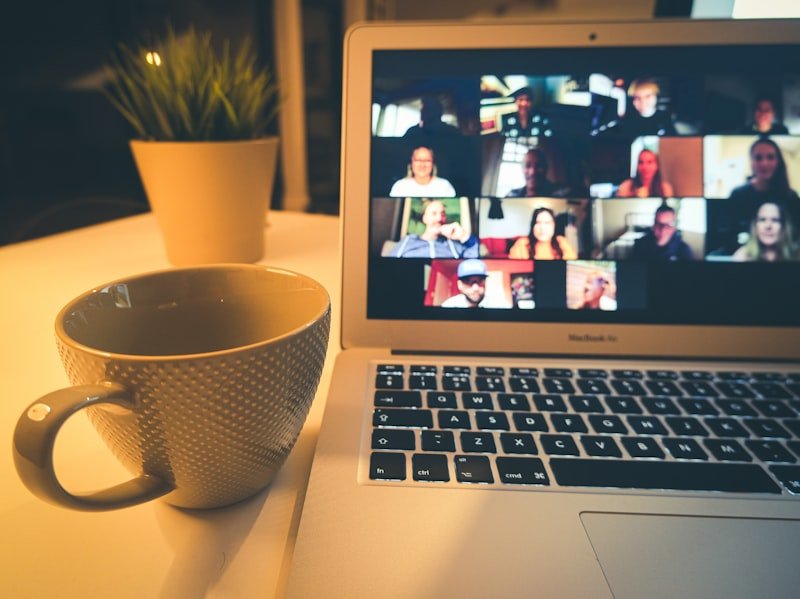 Video meeting interruption and silence English phrases