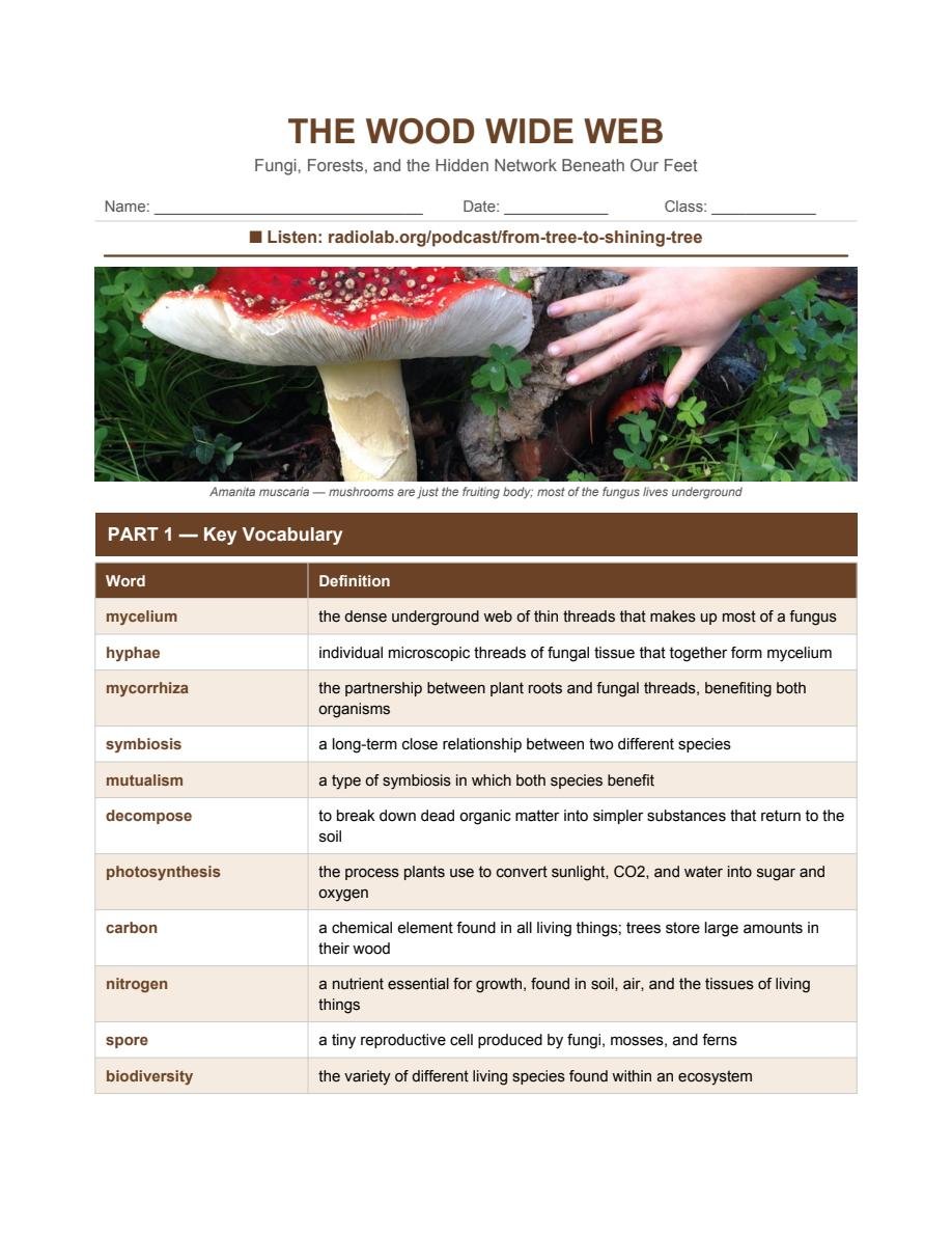 The Wood Wide Web Advanced ESL Worksheet