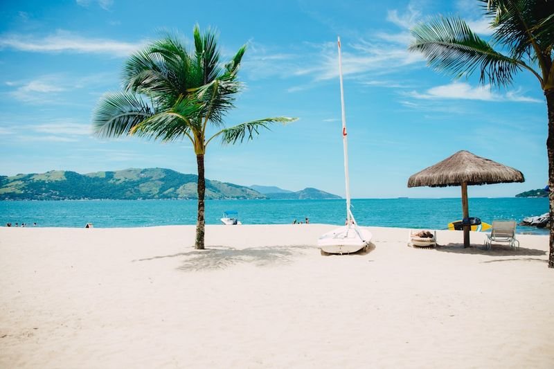 beach vacation with palm trees 度假海灘放假 relaxation