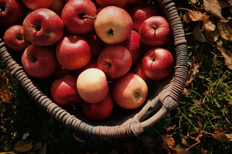 A basket of red apples — apples are countable nouns in English