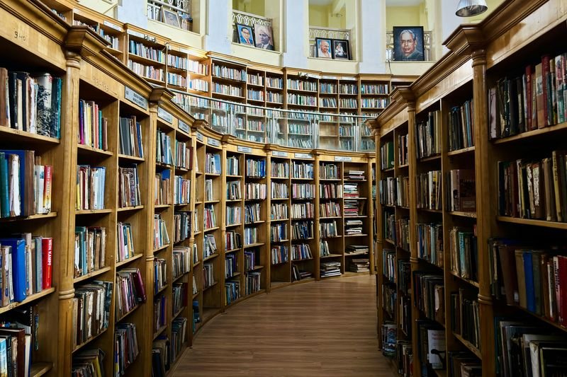 Rows of books on library shelves — books are countable nouns