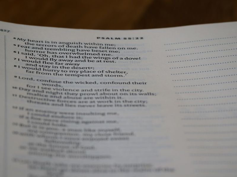 English passive voice grammar study guide — 被動語態學習筆記