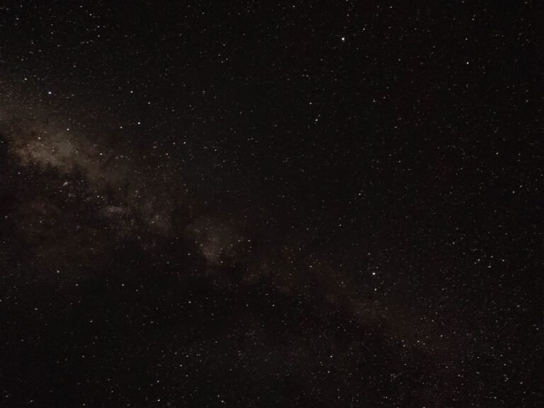 You Are Made of Stardust — Reading Worksheet (Intermediate)