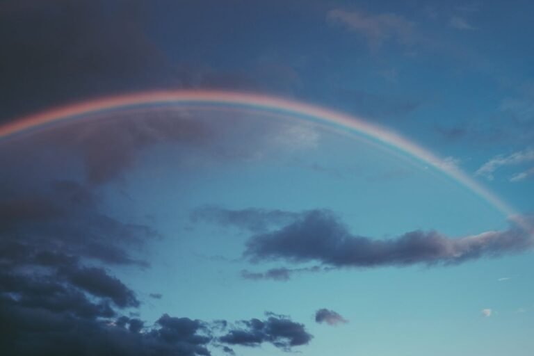 Rainbows ESL Worksheet — Elementary Level C Reading PDF
