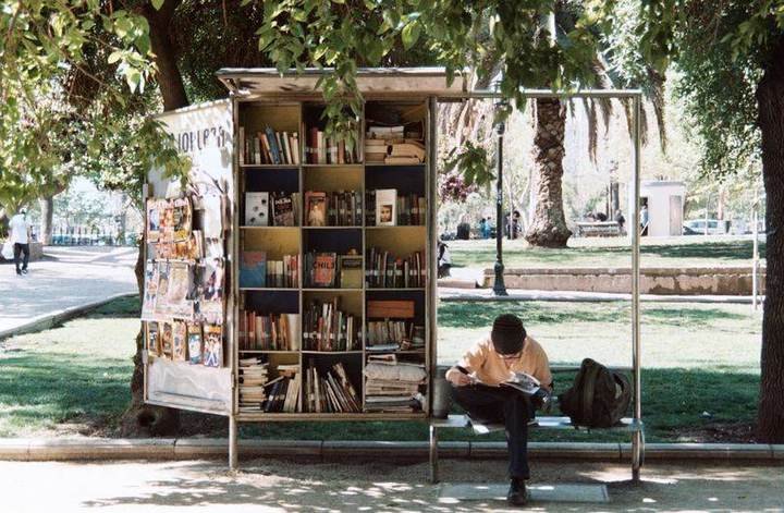 reading a book in the park 假日閱讀休閒 free time activity
