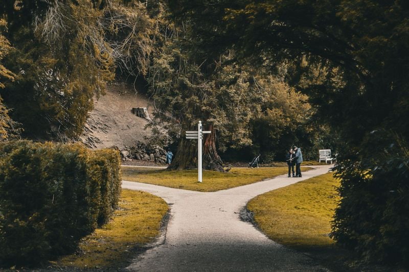 A fork in the road representing conditional choices — If I took this path, I would...