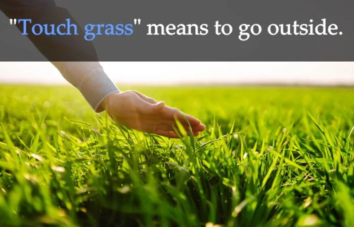 a photo of a hand touching grass