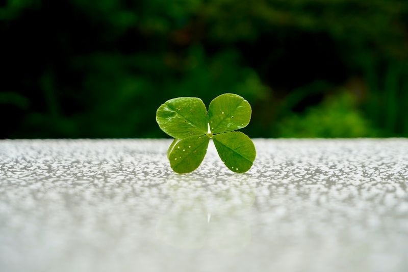ESL classroom learning English luck idioms Taiwan