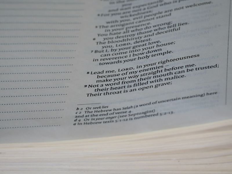 Relative pronouns study notes — WHO vs WHOM English grammar