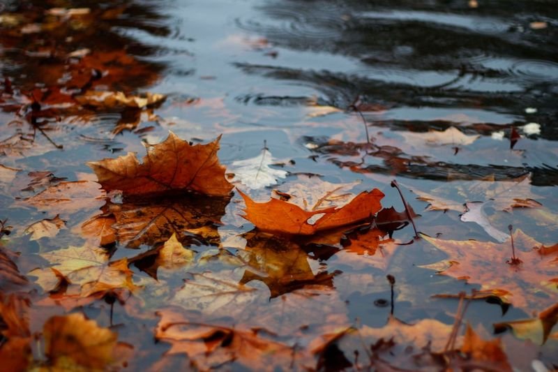 set in phrasal verb meaning autumn season beginning