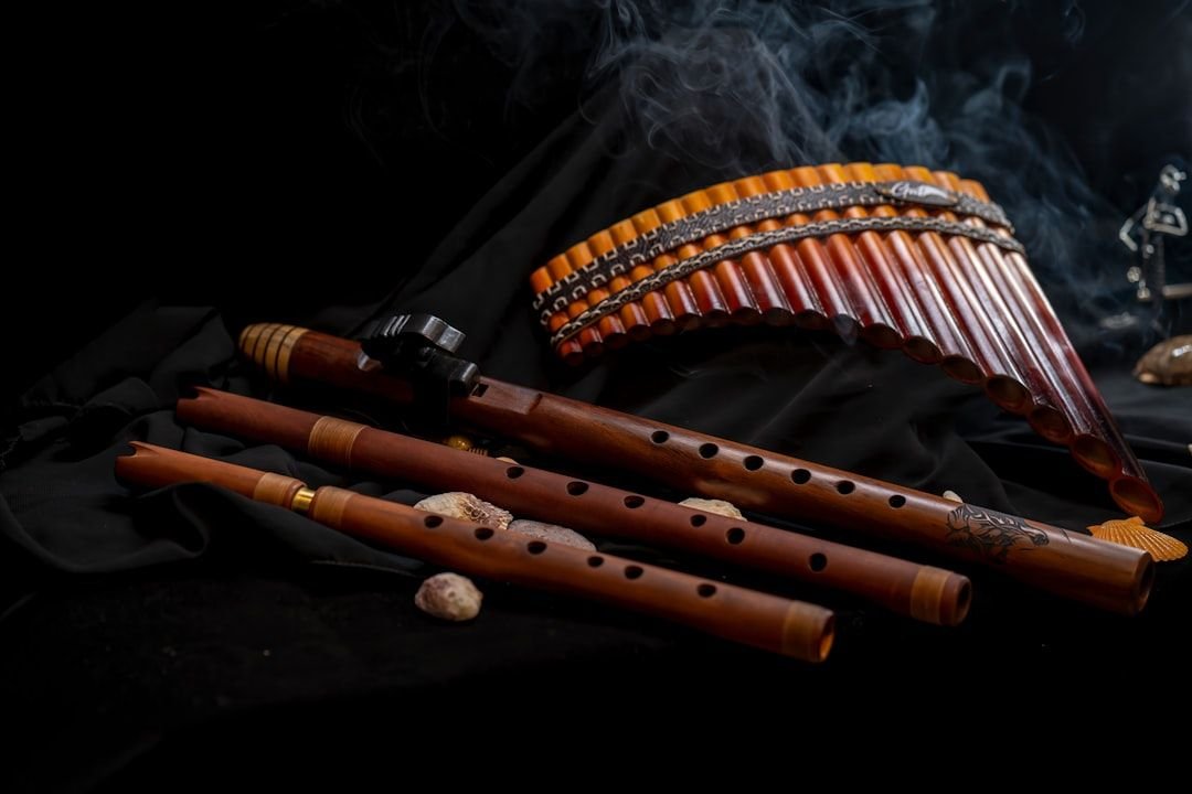A diverse collection of traditional musical instruments from around the world displayed together